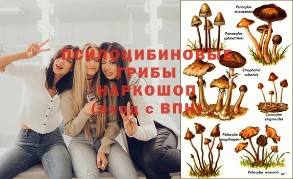 марки nbome Рославль
