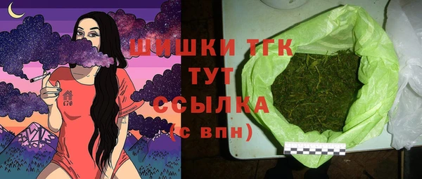 стаф Абинск