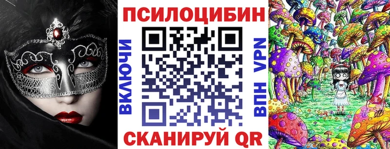 даркнет сайт  Елабуга  мега маркетплейс  Галлюциногенные грибы Psilocybe 